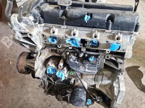 Used Engine FORD FIESTA VI (CB1, CCN) 1.25 (82 hp) 31879996