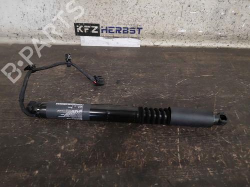 Used Hinge/Door check strap TESLA MODEL X (5YJX) 100D AWD (525 hp) 13071710