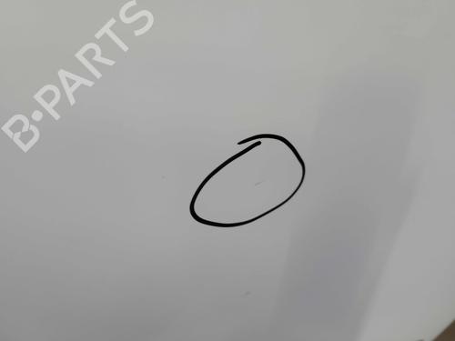 Left rear door FORD FIESTA VI (CB1, CCN) 1.25 | BP24199979C4 