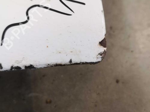 Left front door NISSAN INTERSTAR Van (X70) dCi 120 | BP22282800C2 