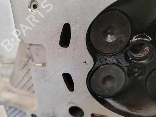 Cylinder head FORD FIESTA VI (CB1, CCN) 1.0 EcoBoost | BP28308719M5 