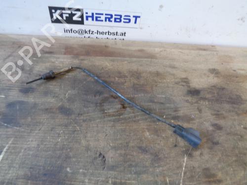 Electronic sensor LAND ROVER RANGE ROVER III (L322) 3.6 D 4x4 | BP12883945M84 