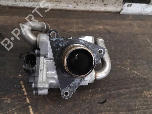 Egr VW PASSAT B8 Variant (3G5, CB5) 2.0 TDI | BP22291365M69 