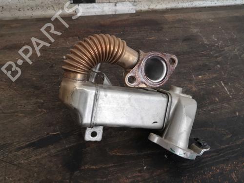 Egr RENAULT TRAFIC III Van (FG_) 1.6 dCi 95 (FGMJ, FGMR) | BP22286747M69 