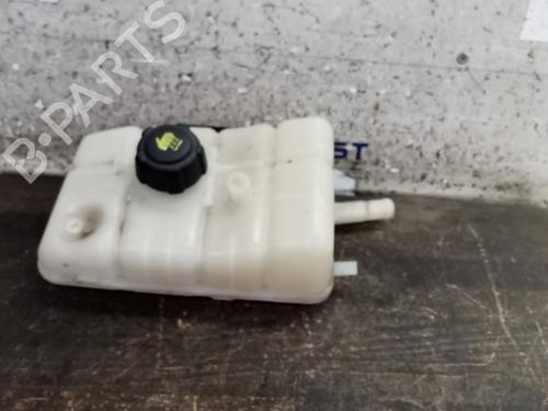 Used Expansion tank RENAULT SCÉNIC IV (J9_) 1.7 Blue dCi 120 (J9A7, J9A8) (120 hp) 22294251