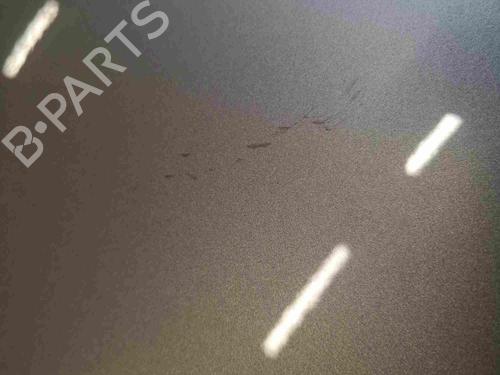 Left rear door SKODA FABIA II Combi (545) 1.4 | BP12894670C4 