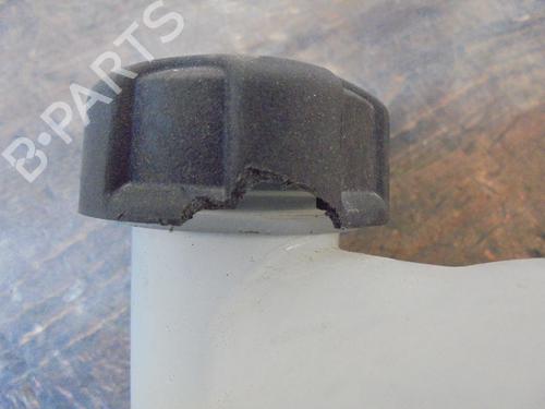 Expansion tank CITROËN C4 II (NC_) 1.4 VTi 95 (NC8FP0) | BP13061191C120 