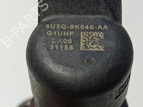 Injector PEUGEOT 607 (9D, 9U) 2.7 HDi 24V | BP32397852M100 