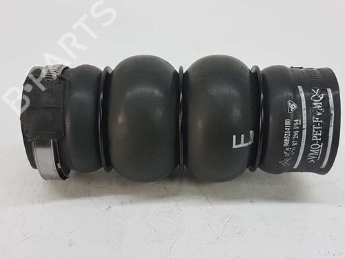 Pipe PEUGEOT PARTNER Tepee 1.6 HDi | BP14537917M125 