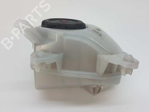 Expansion tank SEAT IBIZA V (KJ1, KJG) 1.0 TSI | BP8919713C120