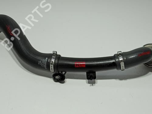 Used Pipe NISSAN JUKE (F16_) 1.0 (114 hp) 29873708