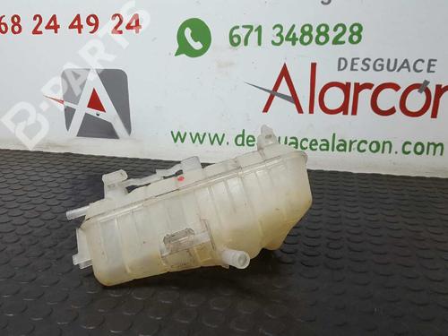 Used Expansion tank RENAULT KANGOO Express (FW0/1_) 1.5 dCi 85 (FW0K, FW0L, FW0B) (86 hp) 2734973