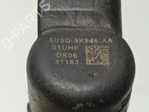 Injector PEUGEOT 607 (9D, 9U) 2.7 HDi 24V | BP32397856M100 