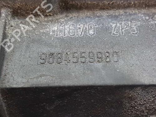 Rear right exterior door handle PEUGEOT 3008 I MPV (0U_) 2.0 HDi | BP3293254C130 
