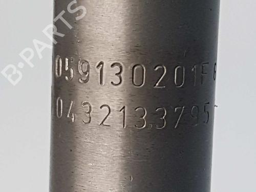 Injector AUDI A4 B6 (8E2) 2.5 TDI quattro | BP5281176M100