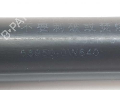 Tailgate lift support TOYOTA YARIS (_P13_)  | BP14532561C138 