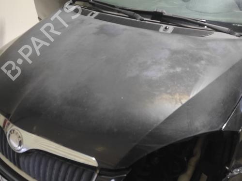 Hood SKODA FABIA II Combi (545) 1.9 TDI | BP21676385C1