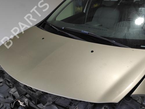 Hood RENAULT CLIO III (BR0/1, CR0/1) 1.5 dCi (BR17, CR17) | BP24018655C1
