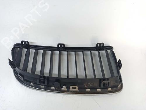 Grille BMW 3 (E90) 320 d | BP8620409C40 