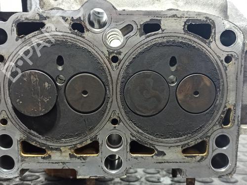 Cylinder head SEAT IBIZA III (6L1) 1.9 TDI | BP13506870M5