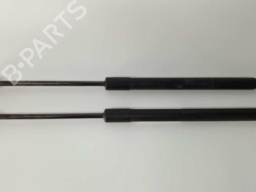 Used Tailgate lift support RENAULT MEGANE III Hatchback (BZ0/1_, B3_) 1.5 dCi (86 hp) 14527599