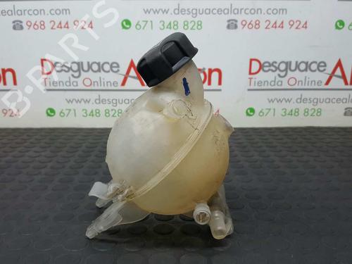 Expansion tank CITROËN C3 II (SC_) 1.4 HDi 70 (SC8HZC, SC8HR0, SC8HP4) | BP2749168C120 