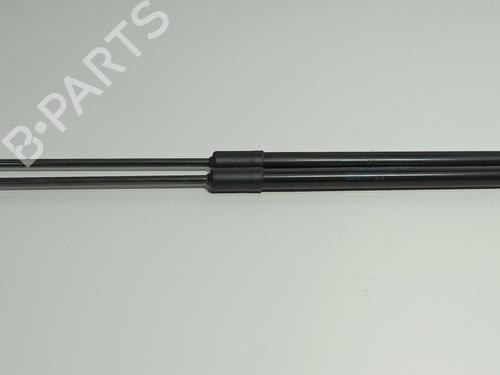 Used Tailgate lift support RENAULT CLIO V (B7_) 1.5 Blue dCi 85 (B7AG) (86 hp) 19498789