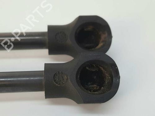 Hood lift support RENAULT CAPTUR I (J5_, H5_) 1.5 dCi 110 | BP14540768C139