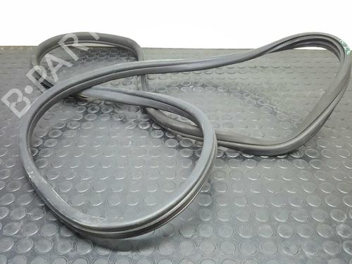 Gummilist BMW X6 (E71, E72) xDrive 40 d (306 hp) 14537068