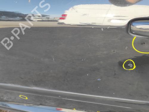 Left front door PEUGEOT 307 (3A/C) 1.6 HDi 110 | BP21390376C2