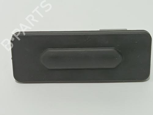 Tailgate handle RENAULT CAPTUR II (HF_) TCe 130 (HFMF) (131 hp) 12318815