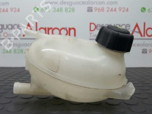Used Expansion tank RENAULT CLIO IV (BH_) 1.2 16V (BHA1, BHAK, BHMG, BHMK) (75 hp) 2745464
