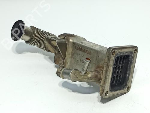 Egr RENAULT GRAND SCÉNIC II (JM0/1_) 1.9 dCi (JM0G, JM12, JM1G, JM2C) (120 hp) 14544464