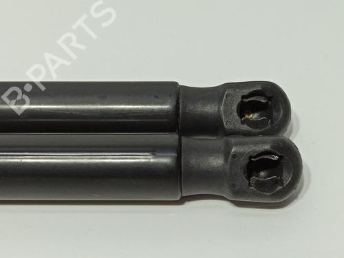 Tailgate lift support AUDI A1 (8X1, 8XK) 1.6 TDI | BP22940794C138 