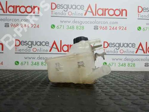 Expansion tank RENAULT MEGANE III Hatchback (BZ0/1_, B3_) 1.5 dCi (BZ09, BZ0D, BZ1W, BZ29, BZ14) | BP2731882C120 