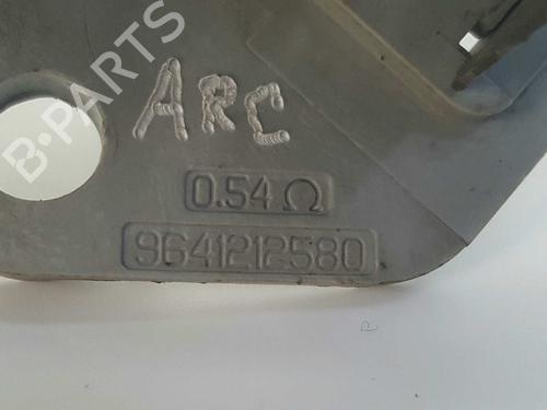 Heater resistor CITROËN XSARA PICASSO (N68) 2.0 HDi | BP11675614M108