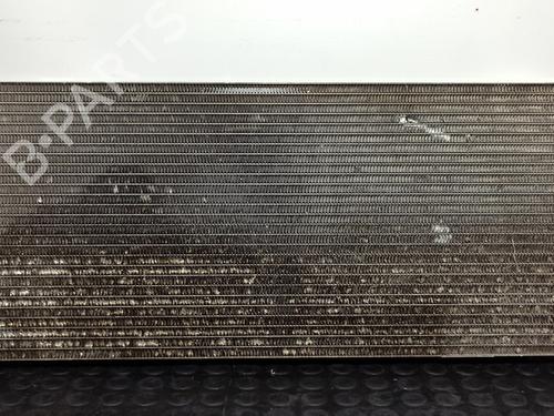 Used Water radiator MERCEDES-BENZ S-CLASS (W220, V220) S 400 CDI (220.028, 220.128) (250 hp) 13689229