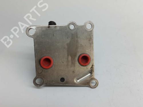 Oil radiator FORD TRANSIT CONNECT (P65_, P70_, P80_) 1.8 TDCi | BP14538961M33 
