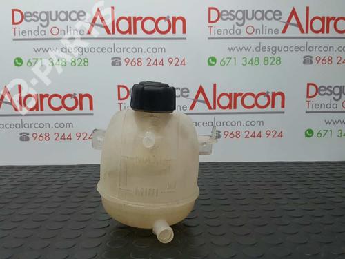 Expansion tank DACIA DUSTER (HS_) 1.5 dCi (HSMC) (107 hp) 2744683