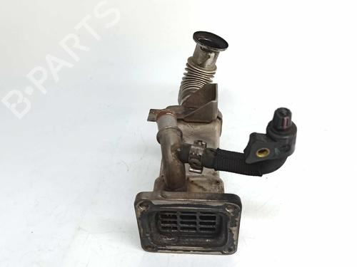 Egr RENAULT GRAND SCÉNIC II (JM0/1_) 1.9 dCi (JM0G, JM12, JM1G, JM2C) | BP14540206M69 