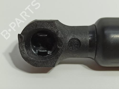 Hood lift support RENAULT EXPRESS Box Body/MPV  | BP19498798C139