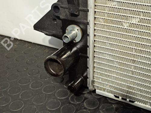 Water radiator LAND ROVER DISCOVERY IV (L319) 2.7 TD 4x4 | BP16074799M31 