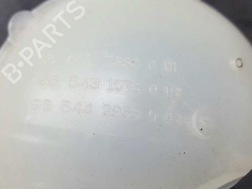 Expansion tank CITROËN BERLINGO MULTISPACE (B9) 1.6 HDi 110 | BP2733605C120 