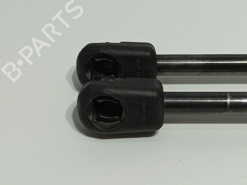 Tailgate lift support AUDI A1 (8X1, 8XK) 1.6 TDI | BP22940794C138 