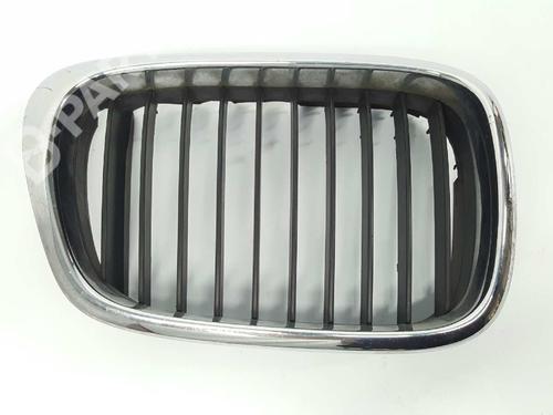 Grill/Gitter BMW 5 (E39) 530 d (193 hp) 4829389