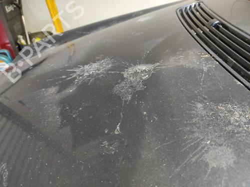 Hood MERCEDES-BENZ C-CLASS (W203) C 220 CDI (203.006) | BP10108946C1 