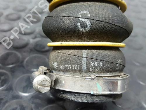 Pipe PEUGEOT 208 I (CA_, CC_) 1.6 HDi | BP14527696M125 