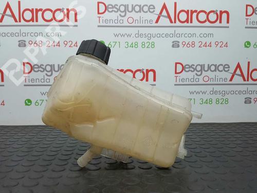 Expansion tank RENAULT KANGOO / GRAND KANGOO II (KW0/1_) 1.5 dCi 90 (KW05, KW08, KW0G, KW11) | BP2781746C120 
