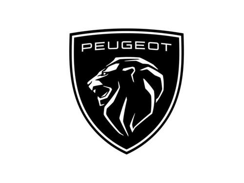 Rear axle PEUGEOT 3008 I MPV (0U_) 2.0 HDi | BP16392115M2 