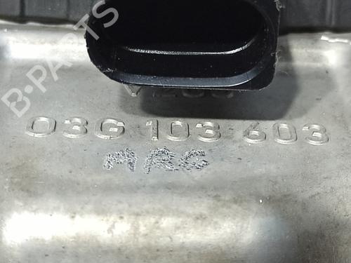 Oil sump SEAT ALTEA XL (5P5, 5P8) 1.6 TDI | BP26030552M115